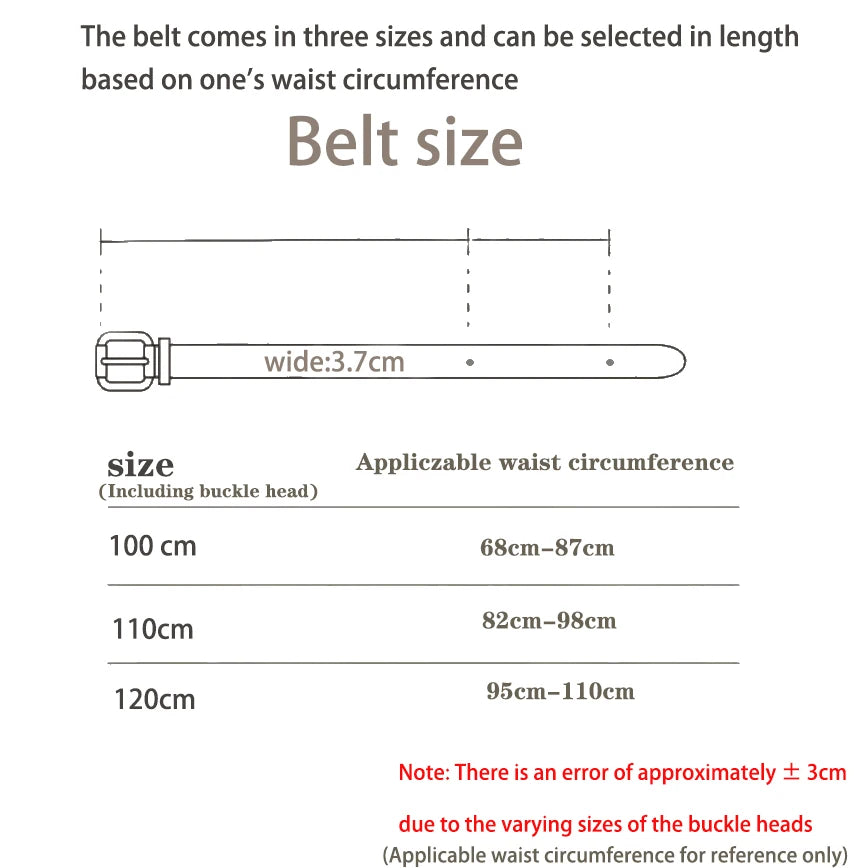Casual retro Western-style belt with aged metal alloy bullhead buckle.